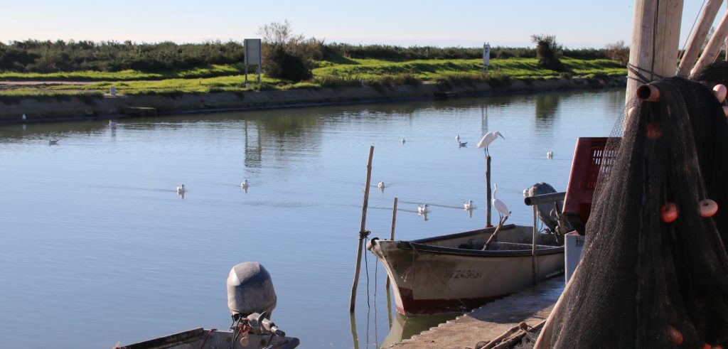 Canal du Rhône à Sète